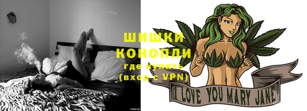 гидра Вяземский
