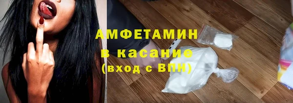 гидра Вяземский