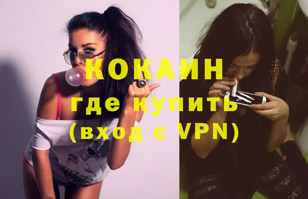 гидра Вяземский