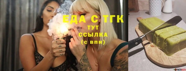 гидра Вяземский
