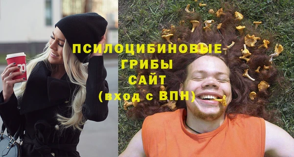 гидра Вяземский