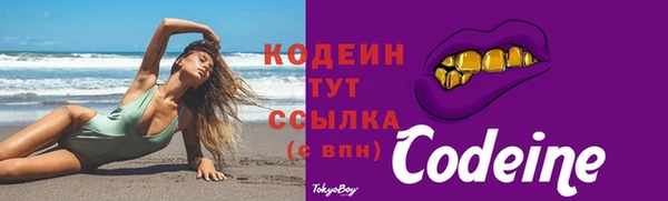 гидра Вяземский