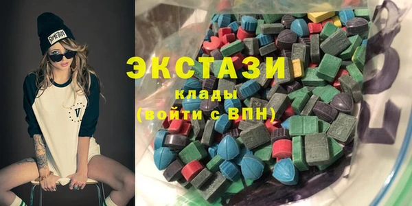 гидра Вяземский