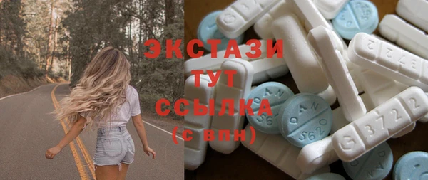 гидра Вяземский